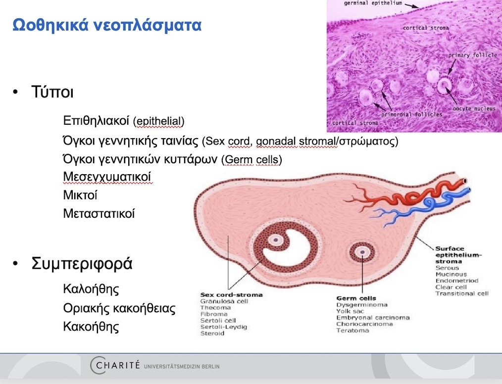 oghkoi-oothikwn-2.jpg